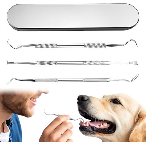 3 Outil de Nettoyage des Dents pour Animaux Avec Boîte Métallique, Kit D'hygiène Dentaire, Nettoyant Dents De Chien, Grattoir à Dents pour Chiens et Chats, Détartreur Dentaire Acier Inoxydable (1/5)