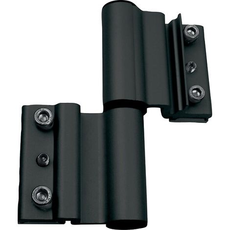 Fapim – Paumelle pour porte et fenêtre – Finition gris anthracite RAL 7016 granité – Dimensions 124mm x 22mm – Pour portes jusqu'à 120kg