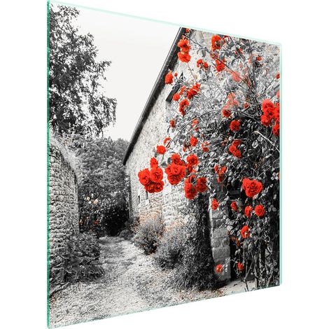 Protezione in vetro per piano cottura 50x52 Rose (1/5)