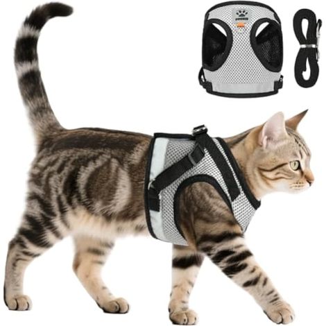 Harnais pour Chat, 2Pcs Harnais Respirant Souple Réglable, Gilet Harnet Maille Réfléchissant-Anti Évasion & éclatement-avec 1.5m Laisse, pour Chaton, Chiot, Chat Adulte(M) (1/5)