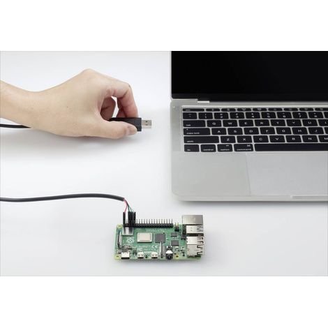 Renkforce USB/TTL Câble de cavalier Raspberry Pi® [1x USB 2.0 type A mâle - 4x Pontage filaire de prise femelle] 1.00 m noir A104572 (1/4)