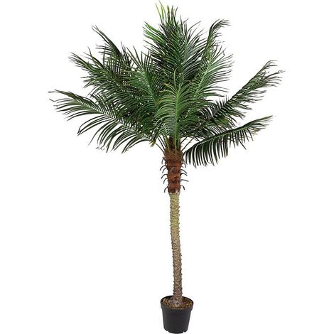 Pianta Artificiale decorativa da interno ed esterno "Palma" con vaso -210 cm (1/4)