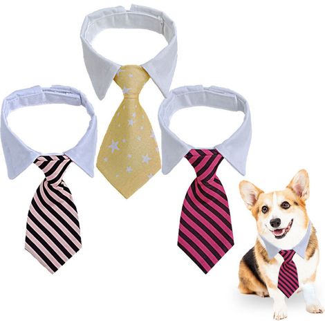 Bardusch-Collier pour Chien et Chat 3 Pièces - Ajustable et Léger, Idéal pour Animaux Habillés, Collier en Tissu Doux Anti-égratignures pour Chiots et Chatons, Accessoire de Mode pour Animaux de Compa (1/5)