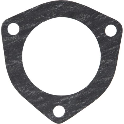 Sello de bomba de agua para MASSEY MF MERLO 825141M1