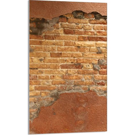 TAGLIERE IN VETRO 30x52 Brick (1/5)