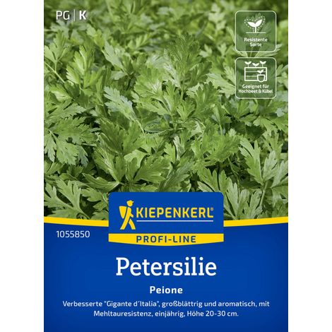 Kiepenkerl Saatgut Profi-Line Petersilien Peione ca. 150 Pflanzen (1/2)