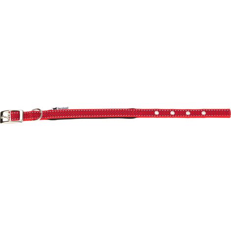 Ferplast DAYTONA DELUXE C Collare imbottito riflettente per cani. Variante C15/35 - Misure: A: 27-35 cm B: 15 mm - Rosso