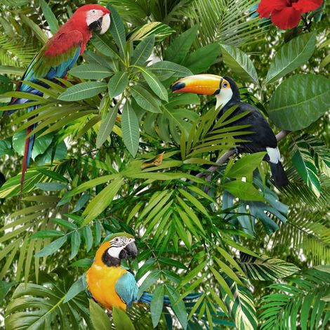 Tropical Jungle Wallpaper Toucan Parrot Bird Pattern Flower Leaves Leaf Muriva