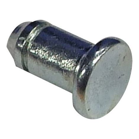 GOUJON CHARNIERE pour LAVE VAISSELLE SCHOLTES - C00048504