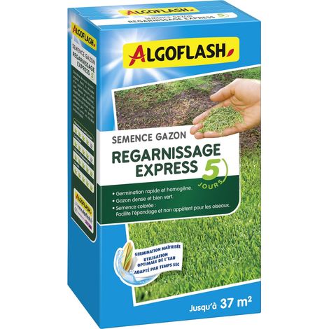Semences Gazon Regarnissage, Germination Express 5 Jours, 800 g (1/3)