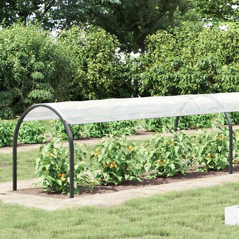 Teenpull – Plane mit Ösen Transparent 10 x 1,5 m Polyethylen (1/5)