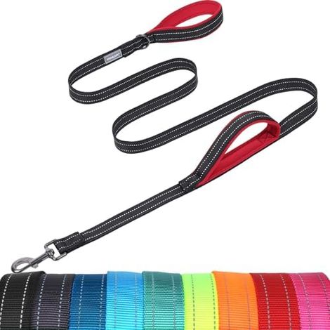 Laisse pour chien VIVAGLORY Twingrip, 1,2 m x 2,5 cm, noire Laisse pour chien avec 2 poignées et double prise, idéale pour le jogging et la maison, en nylon réfléchissant large et fin (1/5)
