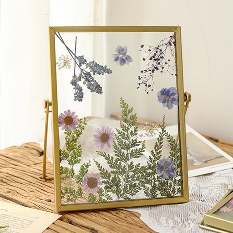 Cadre Photo - Cadre Décoratif en Verre et Métal pour Fleurs Séchées - Cadre DIY pour Décoration Intérieure - 1 Pièce (1/5)
