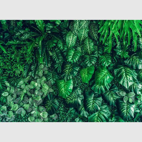 Papier peint intissé - Jungle d'émeraude - 375x270 cm