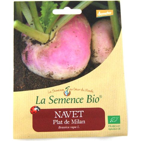 Graines bio - Navet plat de Milan 300 gn - La Semence Bio