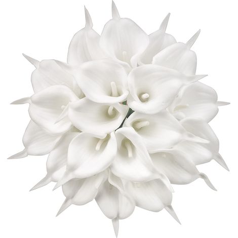 Fleur Artificielle Calla Lily - 12,9 Pouces - Tige Flexible avec Fil Métallique - Latex Haute Qualité - Décoration Mariage Fête Intérieur Extérieur - Lot de 20 (1/5)
