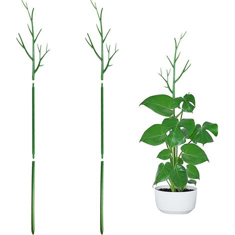 [Tuteur pour plantes] Tuteur arborescent en forme de V, 2 pôles de 100cm pour plantes grimpantes, rosiers et fleurs (1/5)