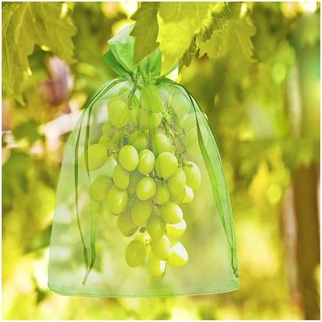 Lot de 100 sacs de protection contre les raisins, pour pots de jardin, sacs de jardin en filet, litchi, sac à cerises,  sacs de culture (17 x 23 cm) (1/3)