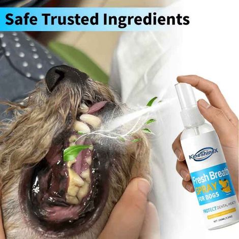 KineShineX Zahnreinigungsspray für Katzen und Hunde: Entfernt und löst Mundgeruch und Zahnstein und hemmt Bakterien. (1/4)