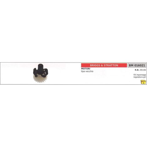BRIGGS & STRATTON kit d'engrenage régulateur de vitesse pour moteur TYPE ANCIEN 016021