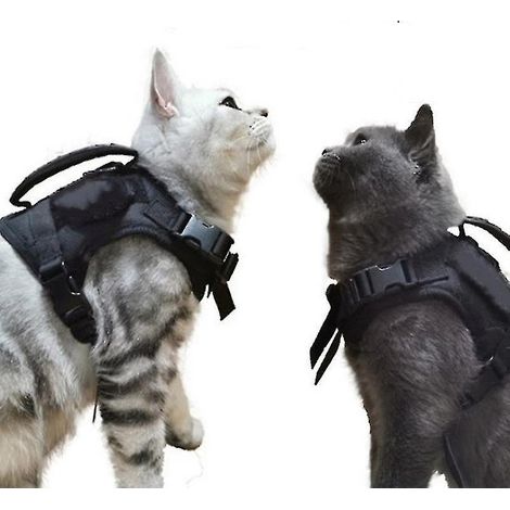 Harnais tactique pour chat, anti-fugue, en maille douce et ajustable, pour grands chats et petits chiens (NOIR) (1/4)