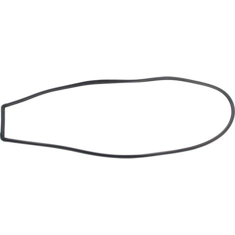 Goma cristal puerta NEW HOLLAND 5130881 (1/5)