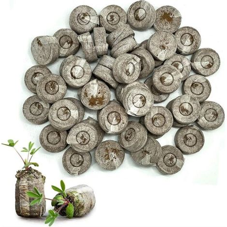 50 Stück Setzlings-Nährstoffblöcke, 33 mm komprimierte Torfpellets, Kokospellets für die Anzucht von Gartenpflanzen (1/4)