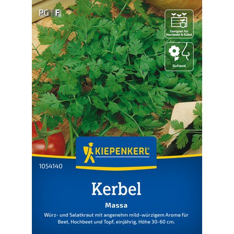 Kiepenkerl Saatgut Kerbel Massa für ca. 100 Pflanzen (1/2)