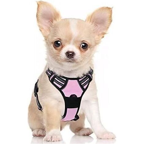 Harnais Chien S Arnais Rose Anti Traction Réfléchissant Gilet Réglable pour Chien, Attache Devant Crochet de Laisse pour Randonnée Trajet Voiture, Bouledogue Français, Berger Australien-Ensoleillé (1/5)