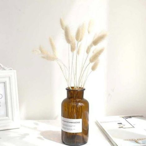 50 tiges d'herbe de la Pampa séchée, décoration florale intemporelle blanche pour anniversaires, mariages et décoration d'intérieur (1/5)