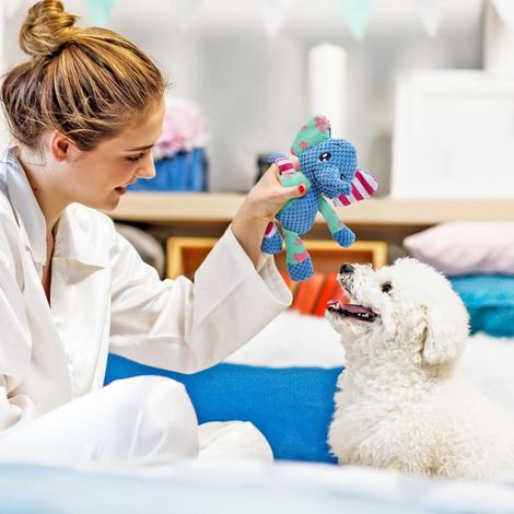 Elephant Shaped Plush Dog Chew Toy Made of Soft Durable Pineapple Cotton Safe for Dogs