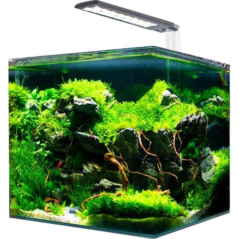 Acquario in vetro Amtra Nanotank system 36 con angoli frontali arrotondati completo di luce LED e filtro