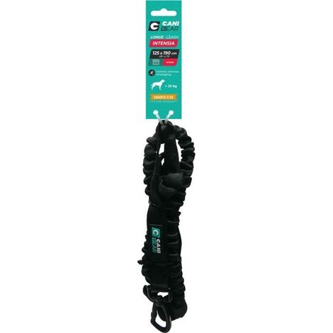 Laisse de traction pour chien - INTENSIA - 1,9 m - Double poignée (1/5)