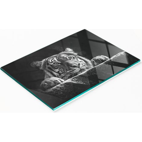 Tableau décoratif multifonctionnel de cuisine en verre trempé, motif tigre, 80 x 52 cm (1/5)