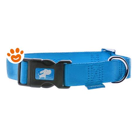 Ferribiella Collar regolabile Nylon 10mmx20-35 cm ciano
