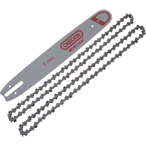 Combo Oregon guide 40cm 163SFHD025 + 2 chaines 75DPX060E (1/3)