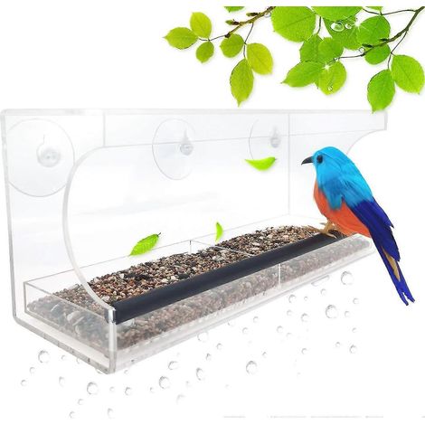 Mangeoire à oiseaux transparente en acrylique pour fenêtre avec ventouses (et plateau à graines coulissant) (1/5)