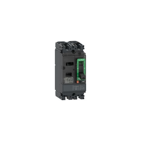 ComPacT NSX160F - disjoncteur - TM-D 160A - 2P2D - 36kA - montage fixe - C16F2TM160