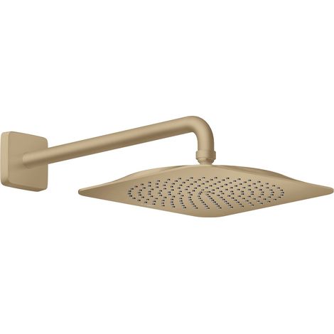 hansgrohe AXOR Citterio C ducha de techo 270/270 1jet con brazo
