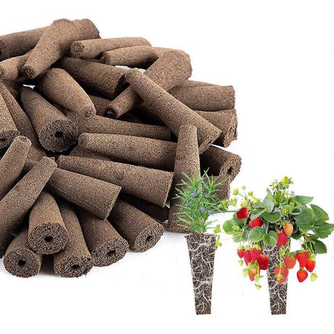 Éponges de culture pour plantes hydroponiques, paquet de 50 (1/5)