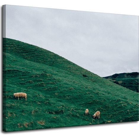 Leinwanddruck Naturweide in den Bergen 100x80