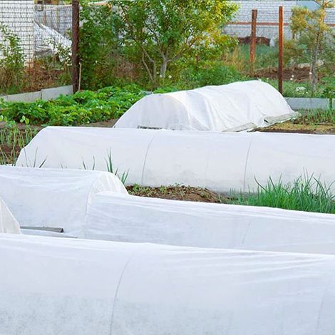 Non-tissé antigel jardin 1,5x10m (1/4)