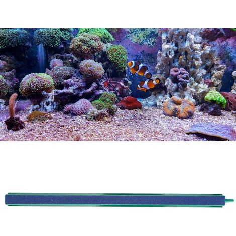 Pompe à Air pour Aquarium Décoration Paysagère Barre de Diffusion d'Air en Pierre de 30 cm-AUTRES (1/5)
