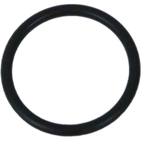 O-ring Für Fleck 5600 Ventil Bi Injektor