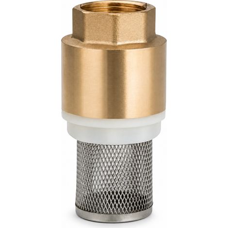 Clapet de Pied Laiton DN50 avec Crépine pour Pompe Jaune (1/5)
