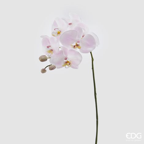 RAMO ORCHIDEA H.74 BIANCO/ROSA