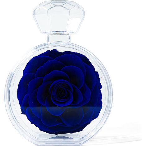 Acrylic bottle with preserved flowers for home decoration, Valentine's Day gift (1/4)