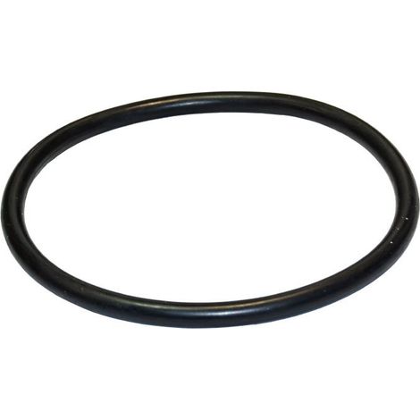 Junta torica del prefiltro de la bomba Optima ( 97,8 x 5,34 ) de Saci Pumps
