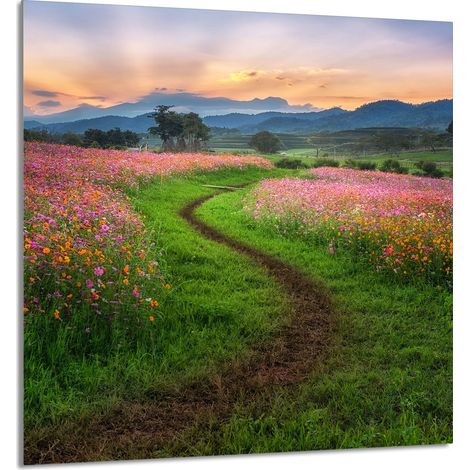 PANEL DE VIDRIO PARA COCINA 60x65 Montañas (1/5)
