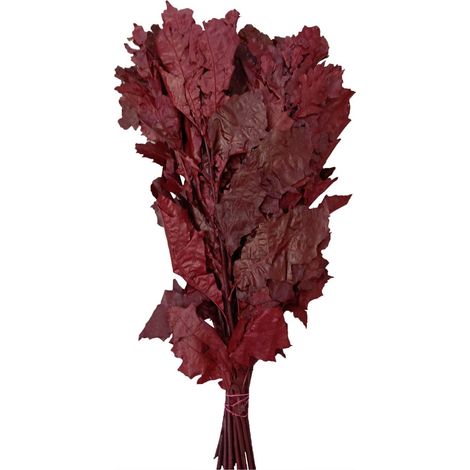 JARDIN202 - JARDIN202 - Hojas de Roble 20 tallos Hojas Naturales de Arce para Decoración 20 Tallos () 20 Tallos 20 Tallos -